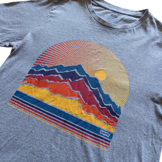 Levi’s Graphic T-shirt | S | Grey